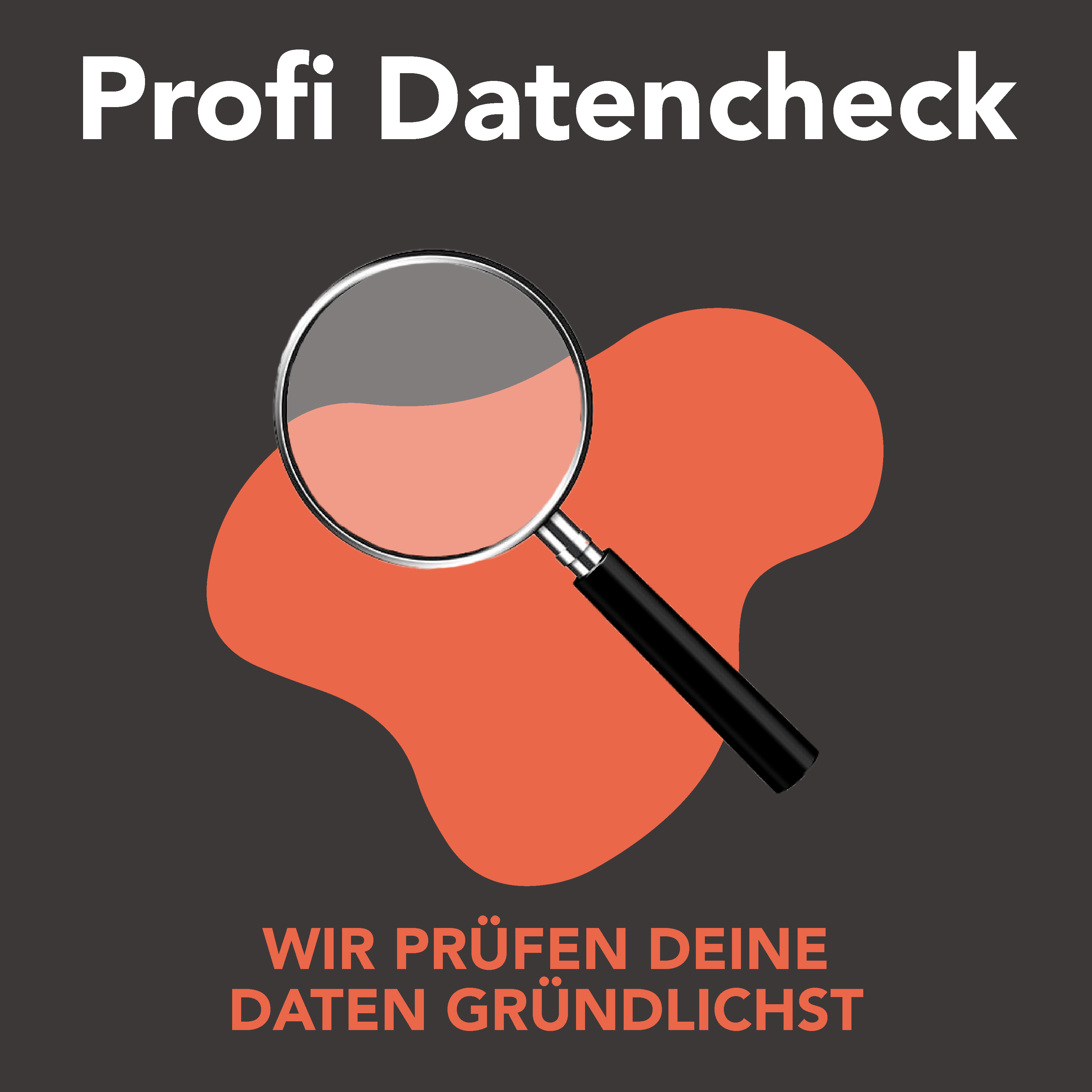 Profi Datencheck